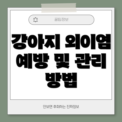 강아지 외이염 예방 및 관리 방법