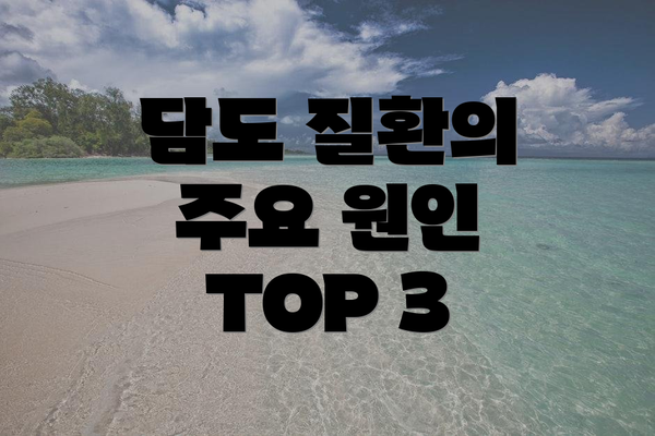 담도 질환의 주요 원인 TOP 3