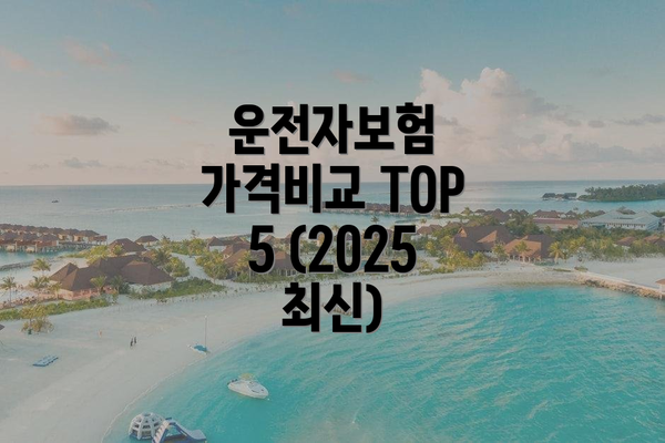운전자보험 가격비교 TOP 5 (2025 최신)