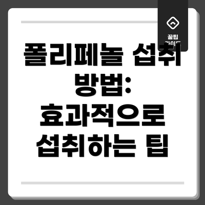 폴리페놀 섭취 방법: 효과적으로 섭취하는 팁