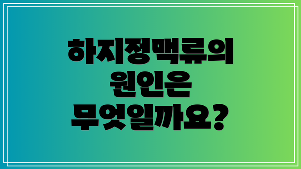 하지정맥류의 원인은 무엇일까요?