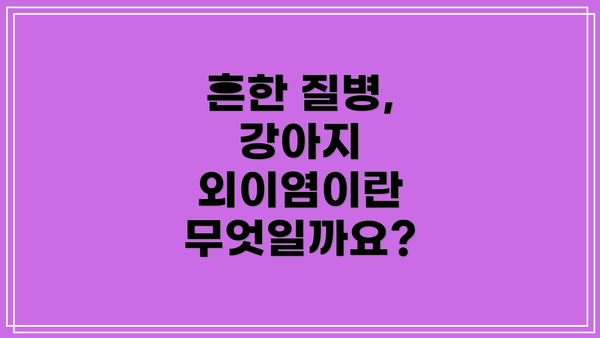 흔한 질병, 강아지 외이염이란 무엇일까요?