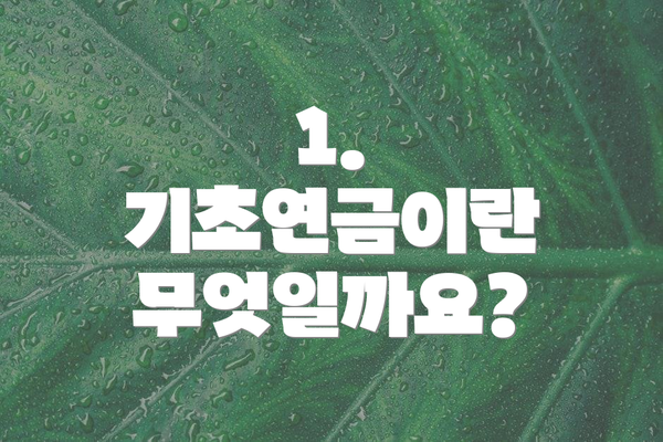 1. 기초연금이란 무엇일까요?