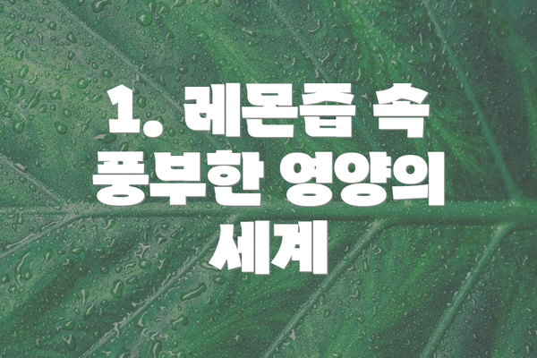 1. 레몬즙 속 풍부한 영양의 세계