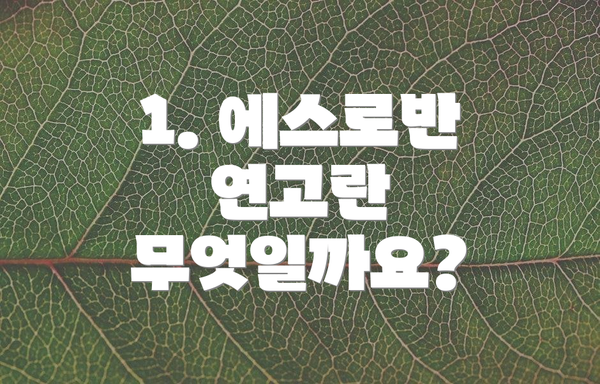 1. 에스로반 연고란 무엇일까요?