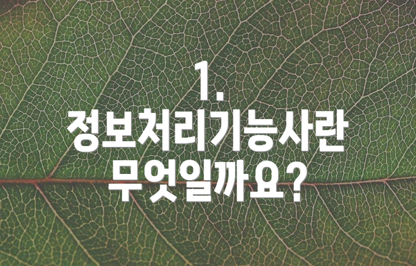 1. 정보처리기능사란 무엇일까요?