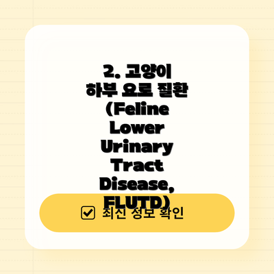 2. 고양이 하부 요로 질환(Feline Lower Urinary Tract Disease, FLUTD)