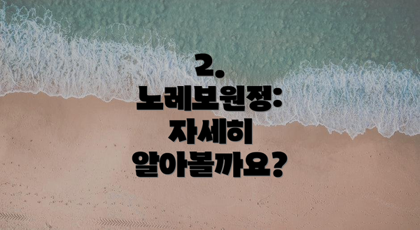 2. 노레보원정: 자세히 알아볼까요?