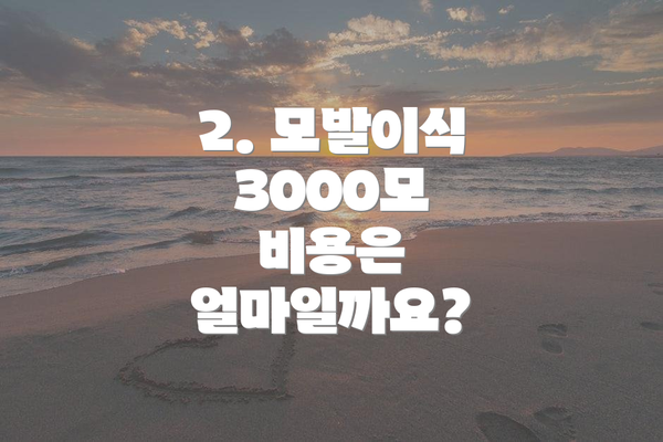 2. 모발이식 3000모 비용은 얼마일까요?
