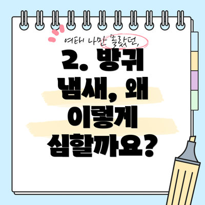 2. 방귀 냄새, 왜 이렇게 심할까요?