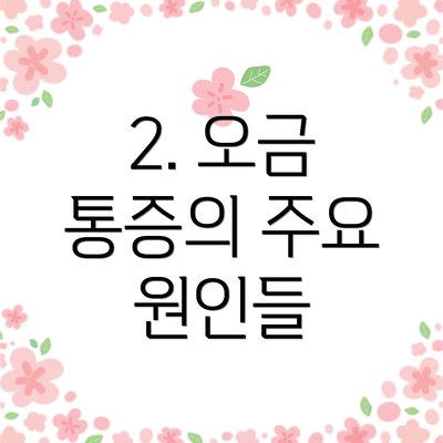 2. 오금 통증의 주요 원인들