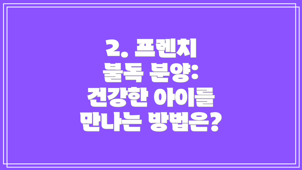 2. 프렌치 불독 분양: 건강한 아이를 만나는 방법은?