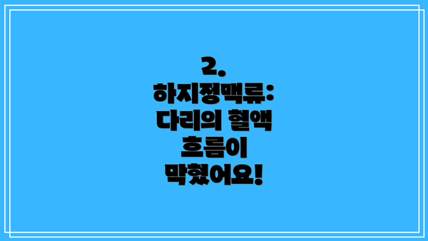 2. 하지정맥류: 다리의 혈액 흐름이 막혔어요!