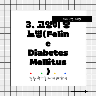 3. 고양이 당뇨병(Feline Diabetes Mellitus)