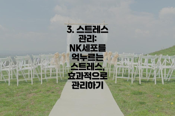 3. 스트레스 관리: NK세포를 억누르는 스트레스, 효과적으로 관리하기