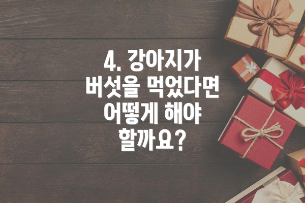 4. 강아지가 버섯을 먹었다면 어떻게 해야 할까요?