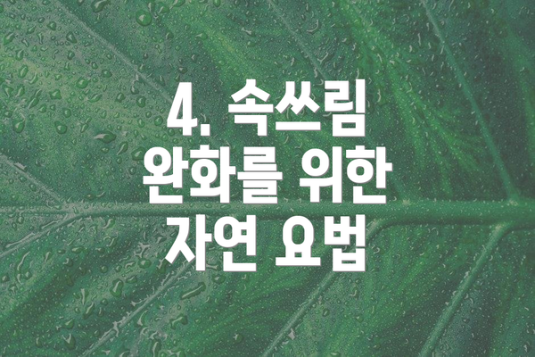 4. 속쓰림 완화를 위한 자연 요법