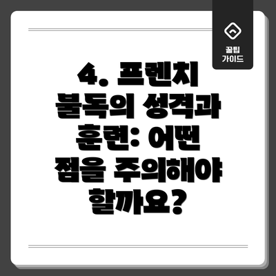 4. 프렌치 불독의 성격과 훈련: 어떤 점을 주의해야 할까요?