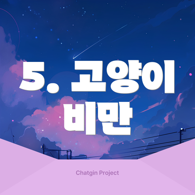 5. 고양이 비만