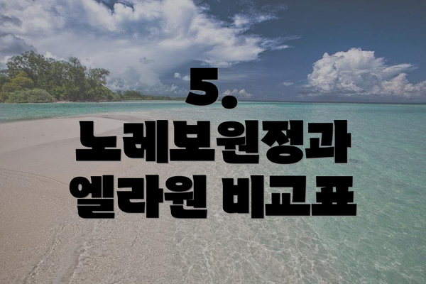 5. 노레보원정과 엘라원 비교표