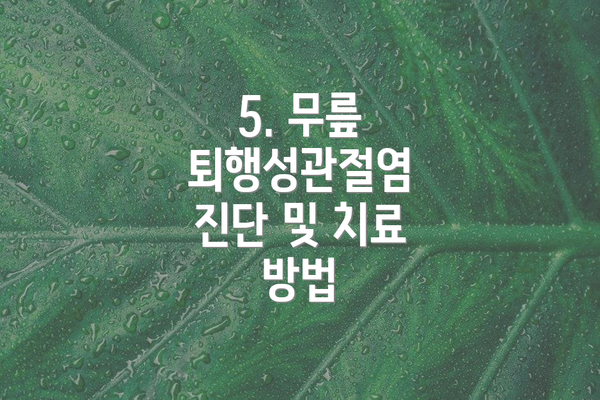 5. 무릎 퇴행성관절염 진단 및 치료 방법
