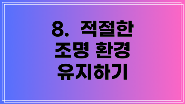 8.  적절한 조명 환경 유지하기