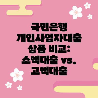국민은행 개인사업자대출 상품 비교:  소액대출 vs. 고액대출