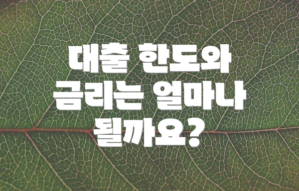 대출 한도와 금리는 얼마나 될까요?