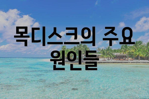 목디스크의 주요 원인들