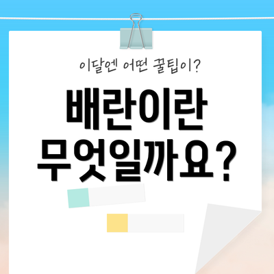 배란이란 무엇일까요?