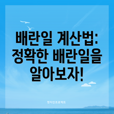배란일 계산법: 정확한 배란일을 알아보자!