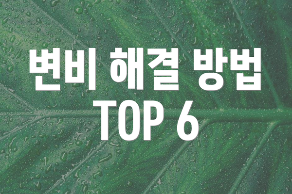 변비 해결 방법 TOP 6
