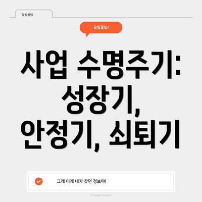 사업 수명주기: 성장기, 안정기, 쇠퇴기