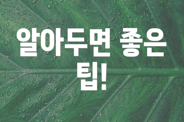 알아두면 좋은 팁!