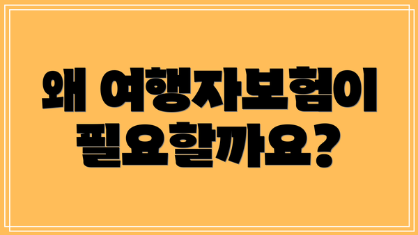 왜 여행자보험이 필요할까요?