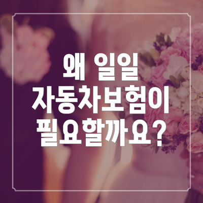 왜 일일 자동차보험이 필요할까요?