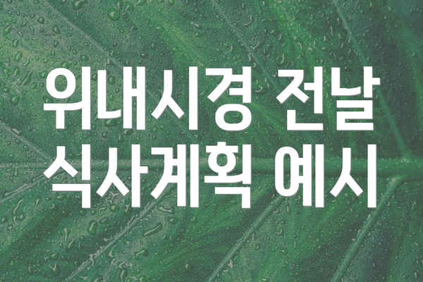위내시경 전날 식사계획 예시