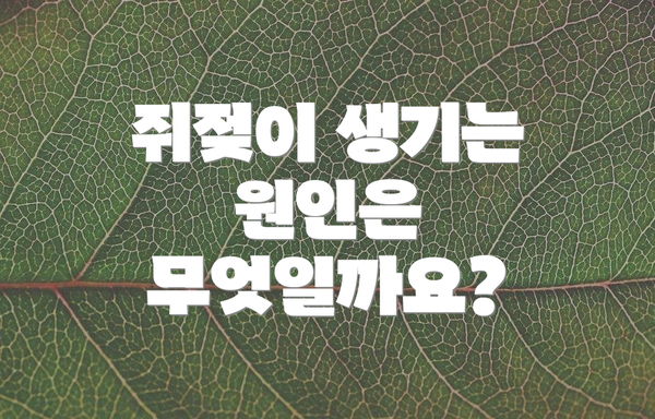 쥐젖이 생기는 원인은 무엇일까요?