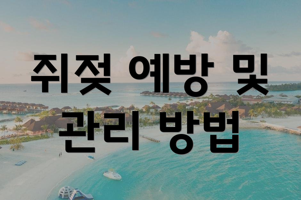 쥐젖 예방 및 관리 방법