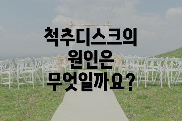 척추디스크의 원인은 무엇일까요?