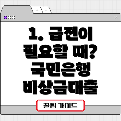 1. 급전이 필요할 때? 국민은행 비상금대출