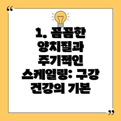 1. 꼼꼼한 양치질과 주기적인 스케일링: 구강 건강의 기본