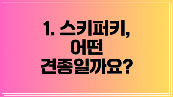 1. 스키퍼키, 어떤 견종일까요?
