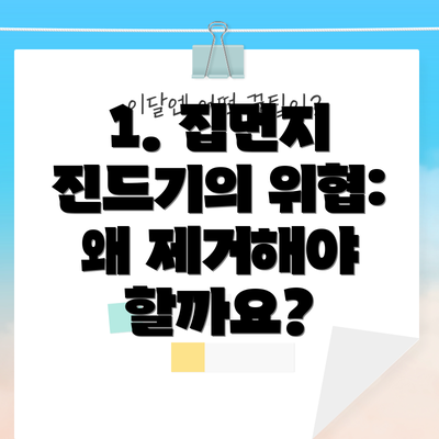1. 집먼지 진드기의 위협: 왜 제거해야 할까요?