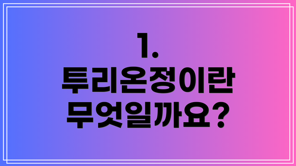 1. 투리온정이란 무엇일까요?