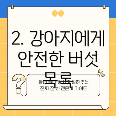2. 강아지에게 안전한 버섯 목록