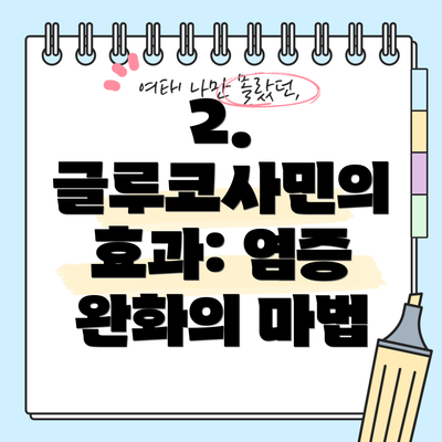 2. 글루코사민의 효과: 염증 완화의 마법