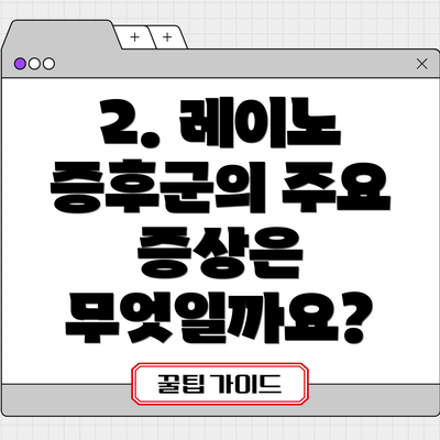 2. 레이노 증후군의 주요 증상은 무엇일까요?