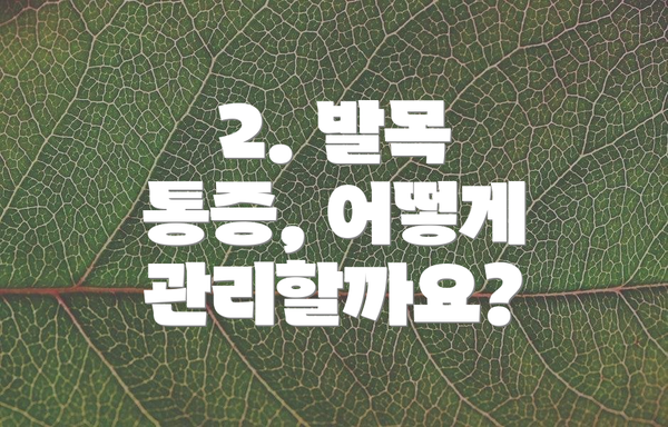 2. 발목 통증, 어떻게 관리할까요?