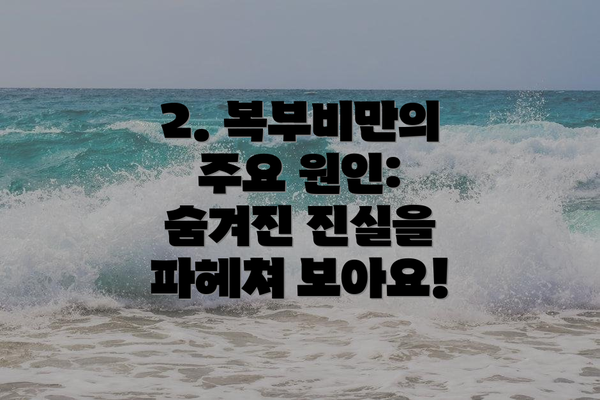 2. 복부비만의 주요 원인: 숨겨진 진실을 파헤쳐 보아요!